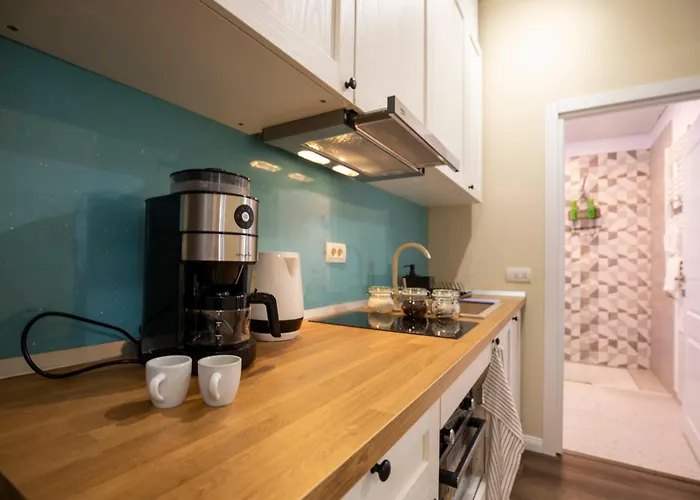 Apartament Luxe Romana *